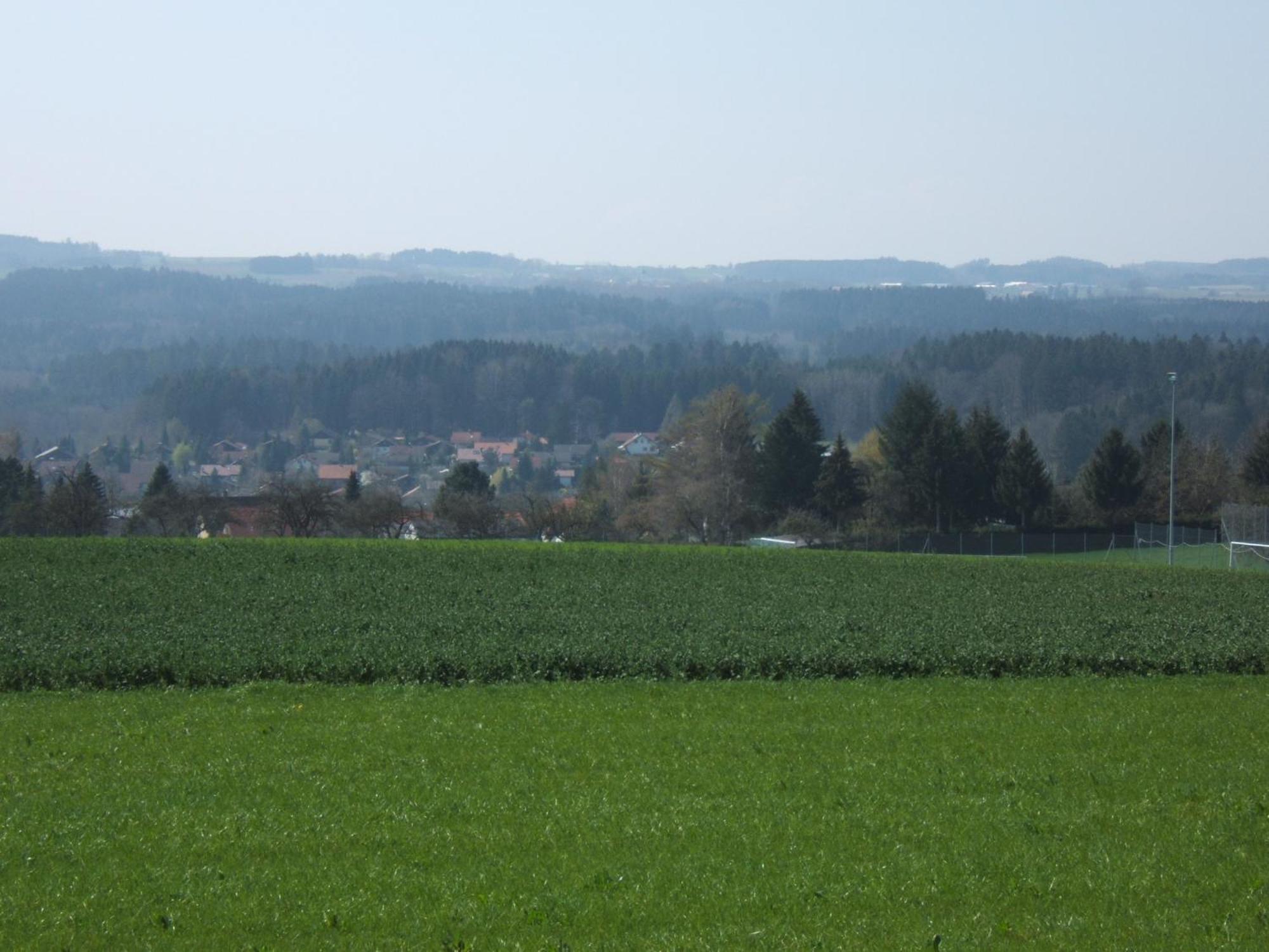 Ferienwohnung Schwahn Kleinschonach Exterior foto